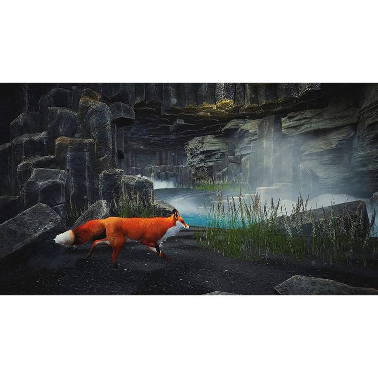 PS5 game Spirit of the North Enhanced Edition (British brand)