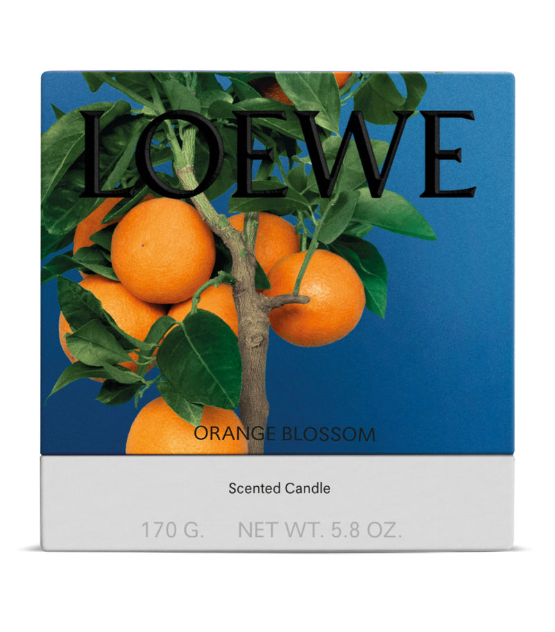 LOEWE Orange Blossom candle 0.5kg, UK version