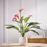 Argos Argos Home Artificial Red Calla Lily in White Ceramic Pot- Buy online at McGrocer