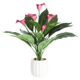Argos Home artificial red calla lily in white ceramic pot 48cm - British product