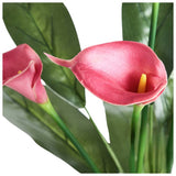 Argos Home artificial red calla lily in white ceramic pot 48cm - British product