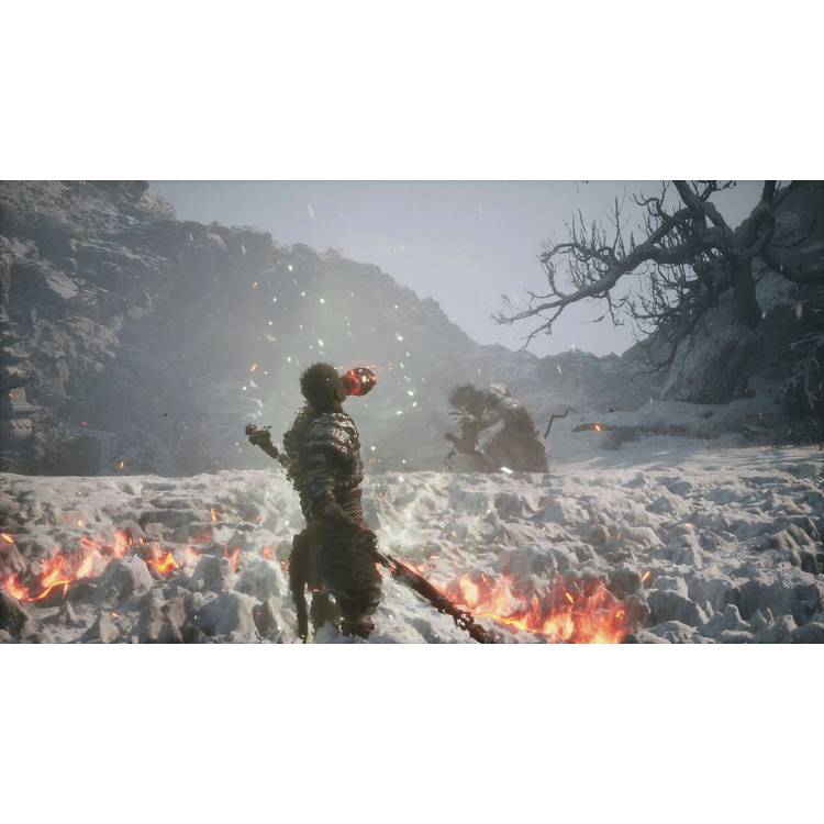 Black Myth Wukong PS5 game disc (British brand)