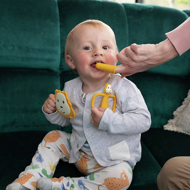 Matchstick Monkey teething set Lion (British brand)