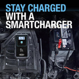 Ring Smartcharge6 smart battery charger - British product