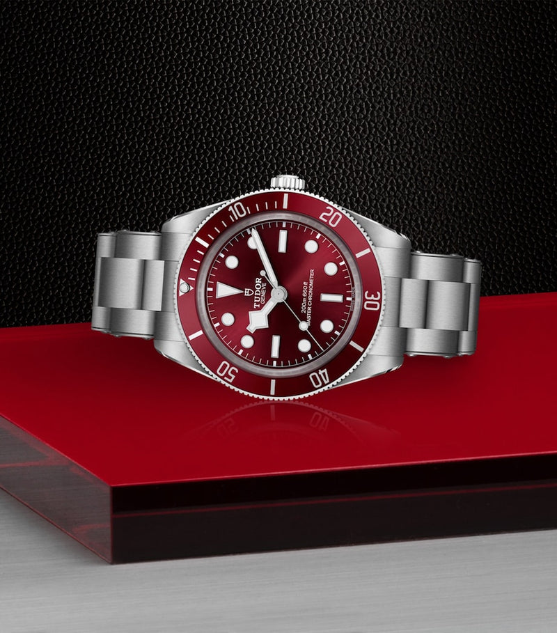 TUDOR Black Bay 58 steel watch 39mm (British brand)