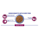 Purina dry cat food Urinary Health Chicken 750g - British product