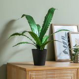 Argos Habitat Artificial Green Birds Nest Plant 40cm- Buy online at McGrocer
