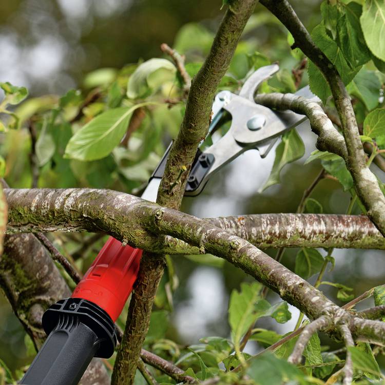 Bosch Advanced Pruner 120cm, imported from the UK
