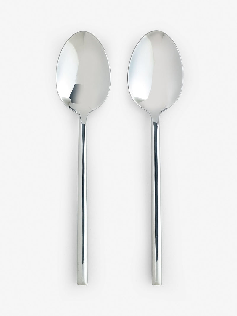 Kensington silver serve spoon set 2 piece stainless steel (British brand)