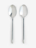Kensington silver serve spoon set 2 piece stainless steel (British brand)