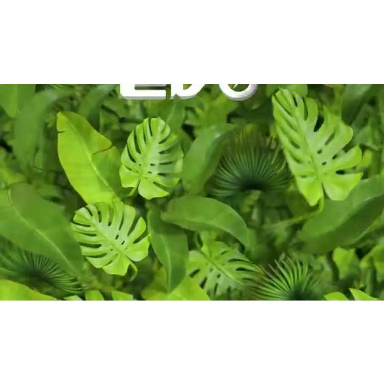 EVO Dino Quad 6V ride on dinosaur toy for kids - British product