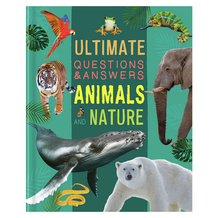 Igloo Books Questions and Answers book pack, UK version