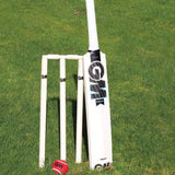 Gunn and Moore Ben Stokes Diamond Junior cricket set, UK version