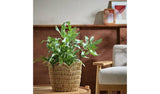 Argos Habitat Large Scallop Rattan Planter - Natural (H25 x D28cm)- Buy online at McGrocer