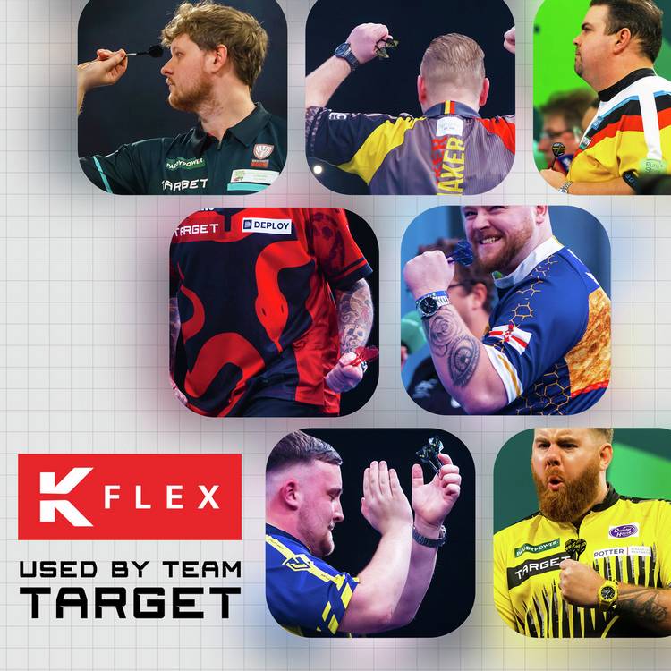 Target Luke Littler World Champion K-Flex medium flights - British product