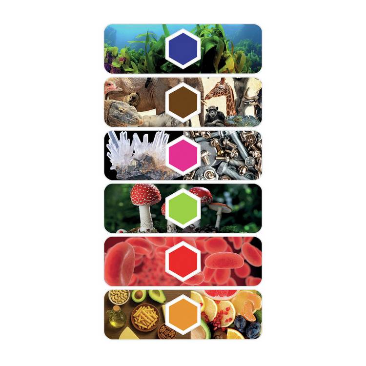 Clementoni AI Smart Microscope, imported from the UK