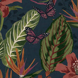 Envy Eden Night wallpaper navy blue, imported from the UK