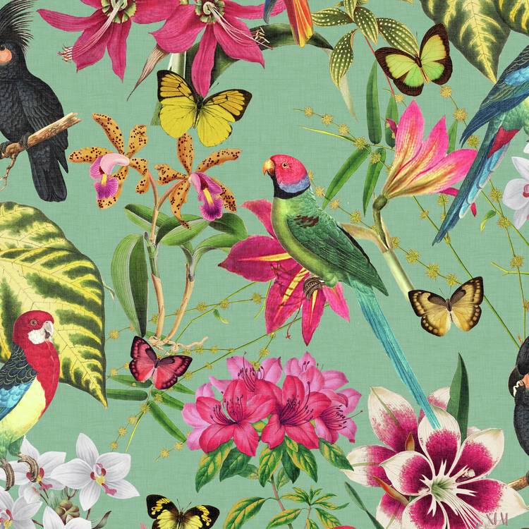 Envy tropical wallpaper parrots butterflies duck egg base - British product