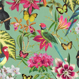 Envy tropical wallpaper parrots butterflies duck egg base - British product