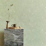 Argos Superfresco Easy Gilded Plaster Wallpaper - Sage - 52cm x 10m- Buy online at McGrocer