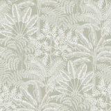Superfresco Easy Intrigue sage green wallpaper (British brand)