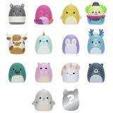 Squishmallows Squish-a-longs plush pack of 14, imported from the UK