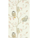Argos Harlequin Kids Little Owls Kiwi Cream Wallpaper- Buy online at McGrocer