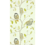 Argos Harlequin Kids Little Owls Powder Cream Wallpaper 52cm x 10.05m- Buy online at McGrocer