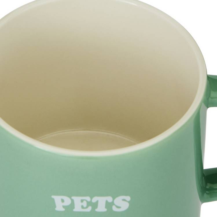 Argos Home Pets Not People mug sage green 380ml - British product