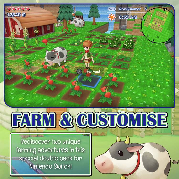 Harvest Moon Switch double pack The Lost Valley Skytree Village (British brand)