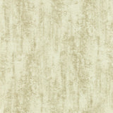 Clarke & Clarke Sontuoso Cream wallpaper, imported from the UK