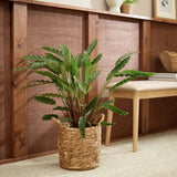 Argos Habitat Small Rattan Handle Planter Natural 23cm- Buy online at McGrocer
