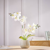 Argos Home artificial white orchid in cream ceramic pot 53cm tall, imported from the UK