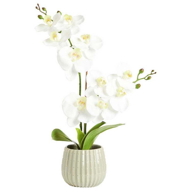 Argos Home artificial white orchid in cream ceramic pot 53cm tall, imported from the UK