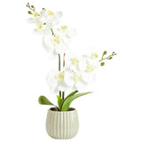 Argos Home artificial white orchid in cream ceramic pot 53cm tall, imported from the UK