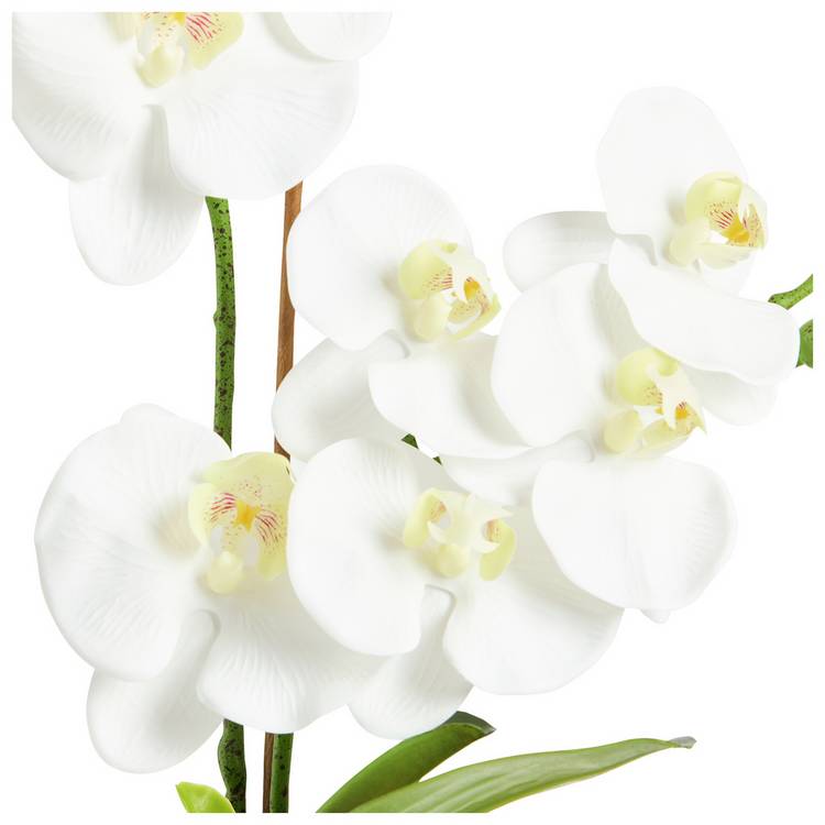 Argos Home artificial white orchid in cream ceramic pot 53cm tall, imported from the UK