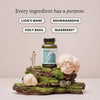 The Herbtender Calm and Collected 60 Vegan Capsules, UK version