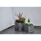 Sankey Square Lazio planters set of 2, imported from the UK