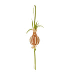LOEWE Paula's Ibiza onion bag charm raffia 8.5cm, UK version