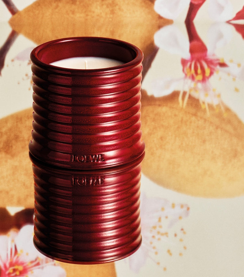LOEWE Sweet Almond scented candle, UK version