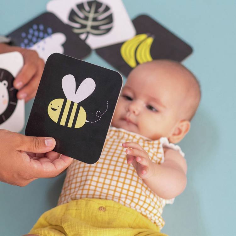 Taf Toys My First Tummy Time Cards set with mirror, UK version