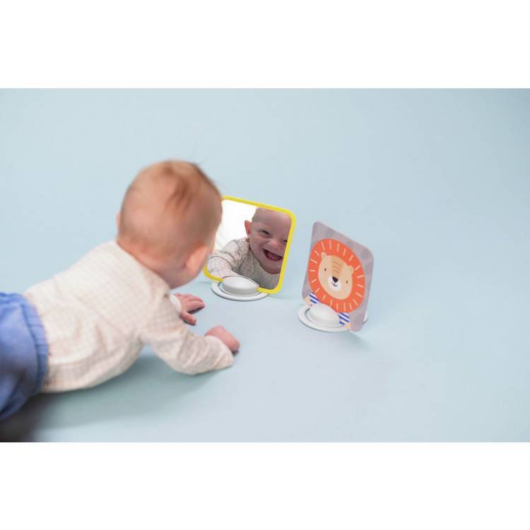 Taf Toys My First Tummy Time Cards set with mirror, UK version