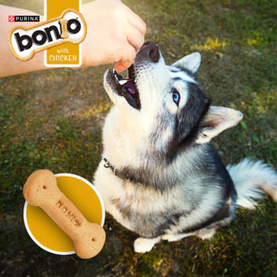 Bonio Chicken Dog Biscuits 650g - British product