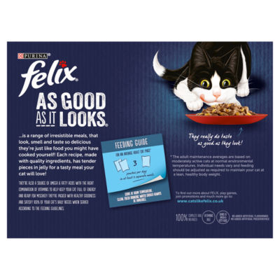Felix Wet Cat Food Meaty Selection in Jelly 12x85g - British product