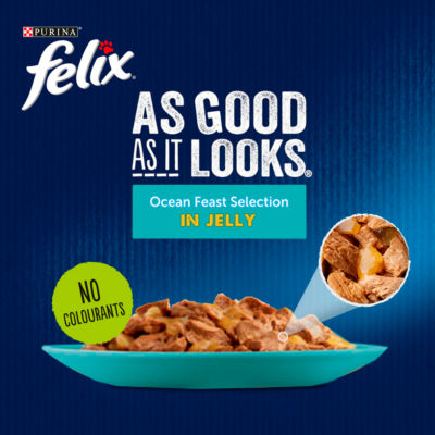 FELIX wet cat food Ocean Feasts 40x85g, imported from the UK