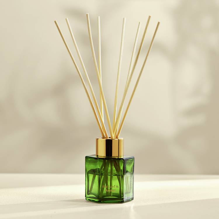 Argos Home reed diffuser Fig Leaf Amber 50ml (British brand)