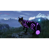 Spirit of the North 2 PS5 game disc adventure - British product
