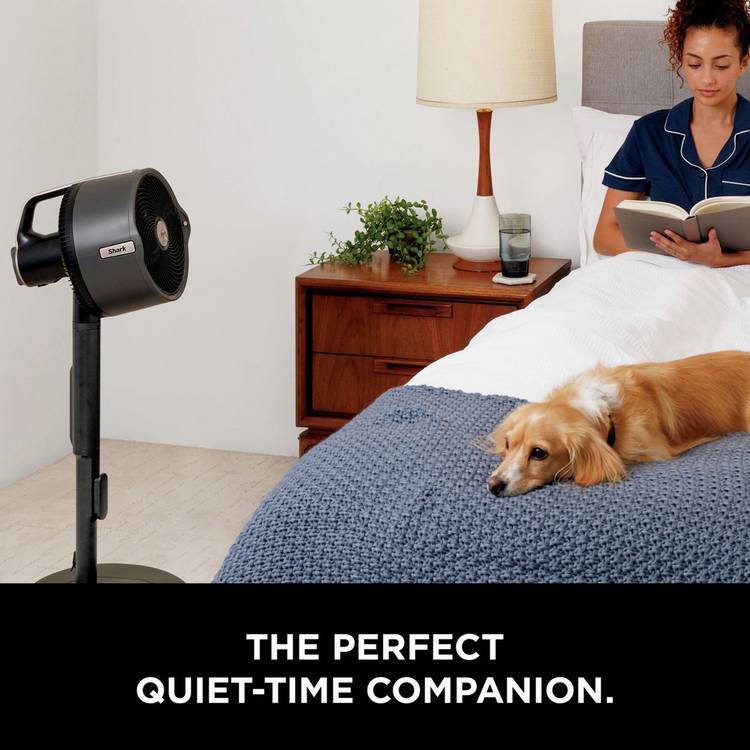 Shark FlexBreeze Pro Mist outdoor pedestal fan (British brand)