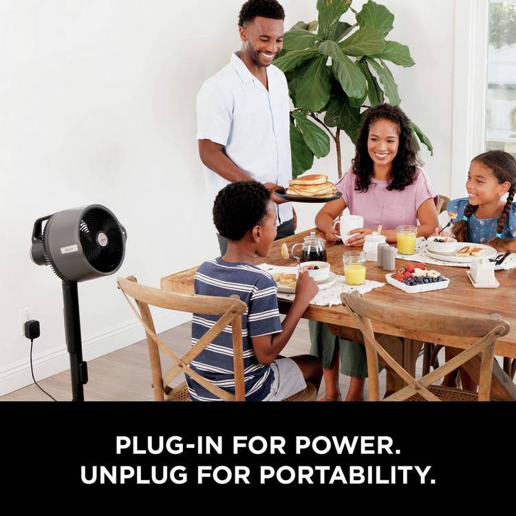 Shark FlexBreeze Pro Mist outdoor pedestal fan (British brand)