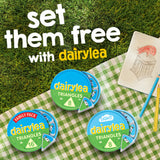 Dairylea cheese spread triangles 8 pack 125g - British product
